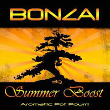 BONZAI Summer Boost Herbal Incense